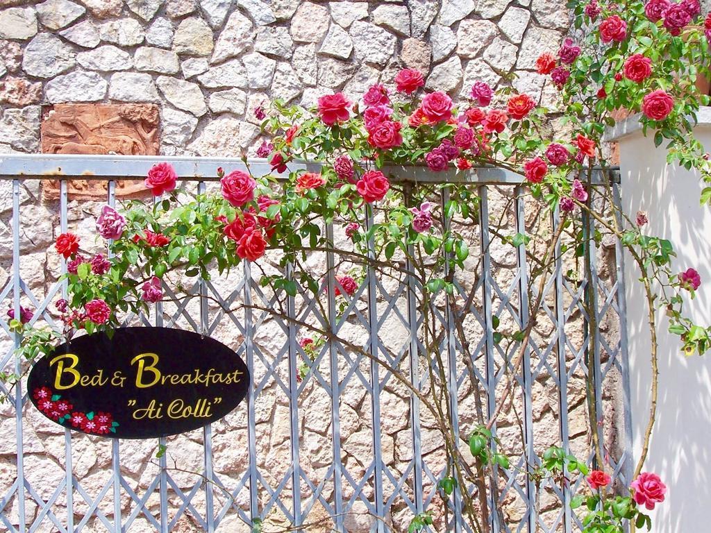 Ai Colli B&B Salò Camera foto